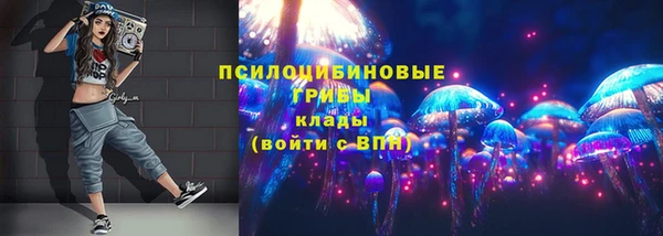 скорость Алзамай